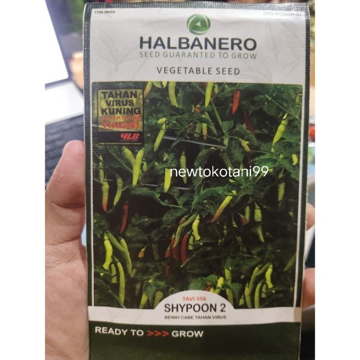 Benih cabe SHYPOON 2 10gram cabe shypoon tahan virus Halbanero seed