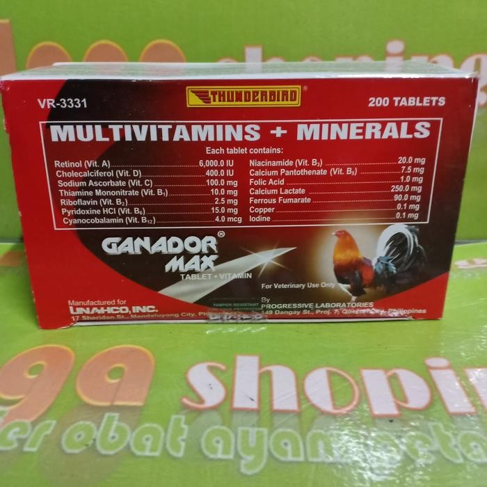 Pawretty- ganador max vitamin tenaga ayam doping menjelang tarung