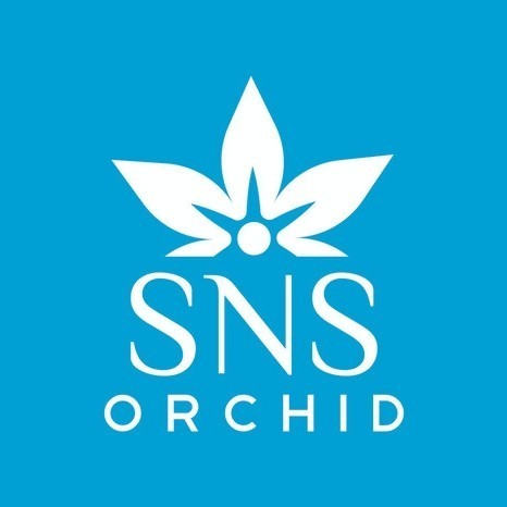 (Expert) Remaja Anggrek Bulan Phalaenopsis Hybrid Warna Koleksi Bibit Bunga