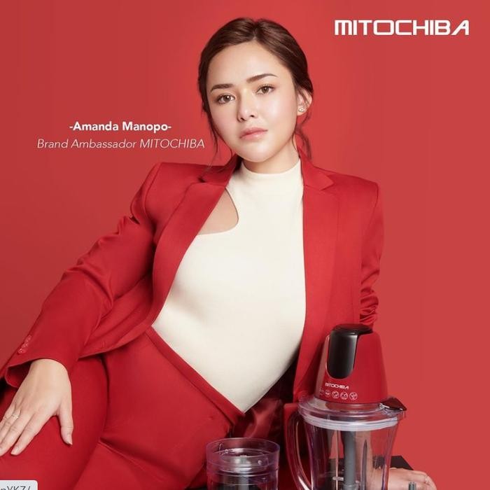 MITOCHIBA FOOD CHOPPER BLENDER MITOCHIBA CH-100 CH 100