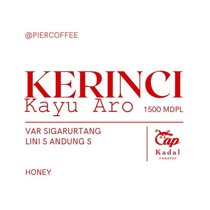 

arabika kerinci honey 200 gr