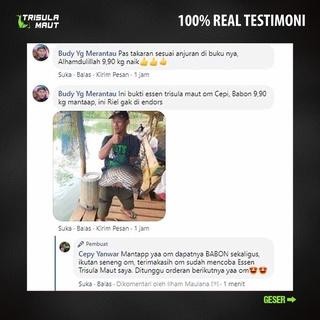 Promo Terbatas Essen Trisula Maut Ikan Mas Lele Nila Patin Bandeng Bawal Gurame Laut Aman