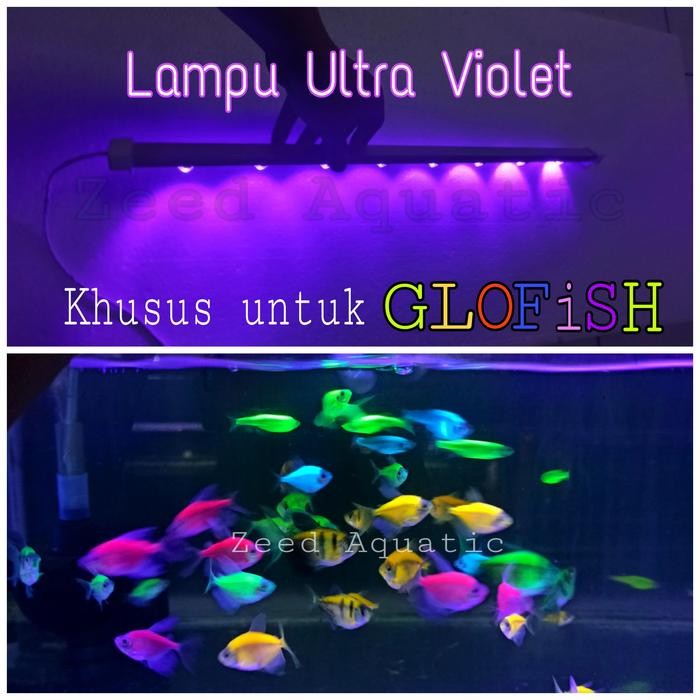 PREMIUM Lampu Ultra violet HPL DIY khusus untuk GLOFISH