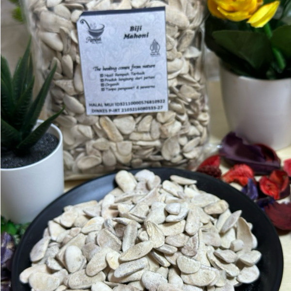 

Biji Mahoni Kupas Bersih 500 Gram - Rempah Bu Risma