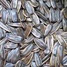 

Kwaci Bunga Matahari 1Kg