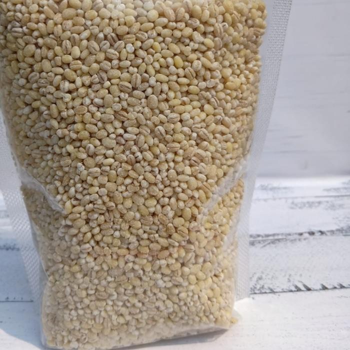 

JTTOP" BARLEY / BIJI JALI-JALI PRODUCT OF HOLLAND - 1KG