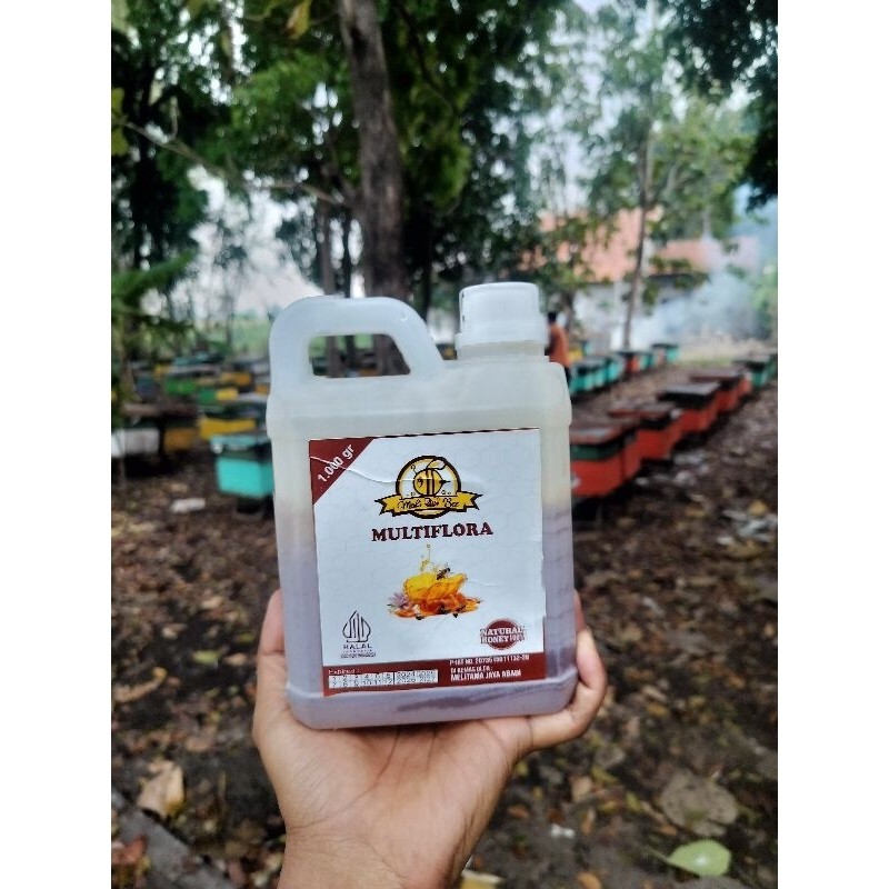 

Sega Tungtung Madu Murni Asli Nektar Multiflora / Raw Honey Berat 1 Kg Free Dus Box Packing