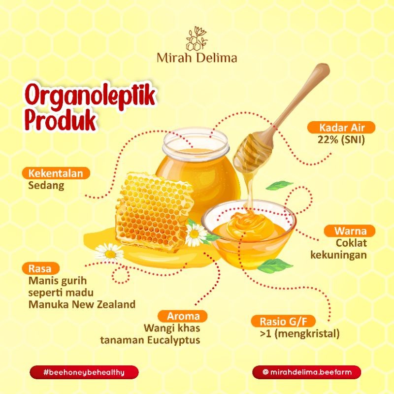 

Sega Tungtung Madu Hutan Eucalyptus - Raw Rainforest Honey - 500 Ml