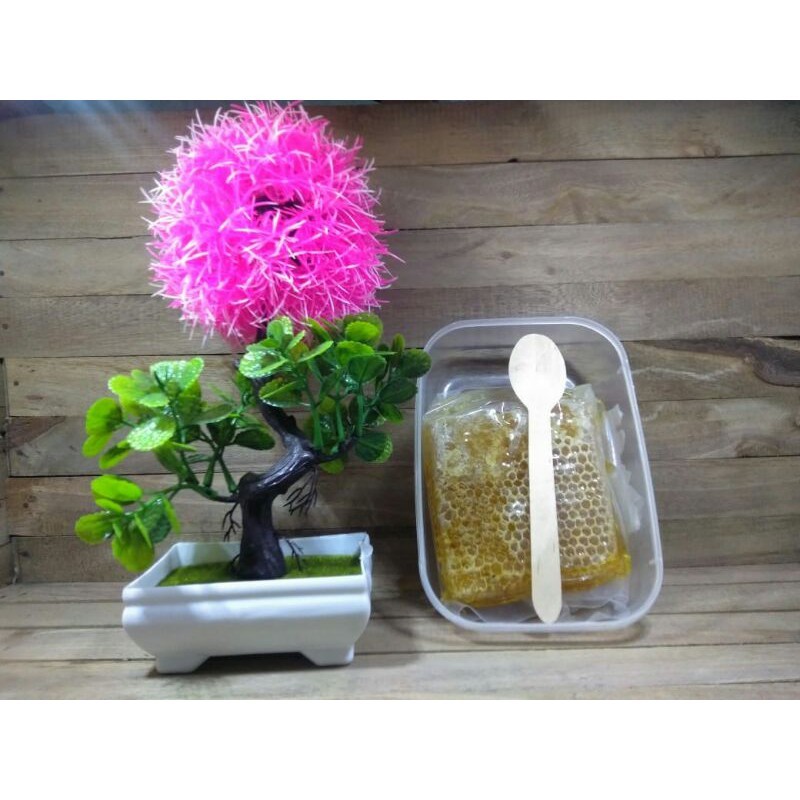

Sega Tungtung [250Gr] Sarang Madu Asli Melifera
