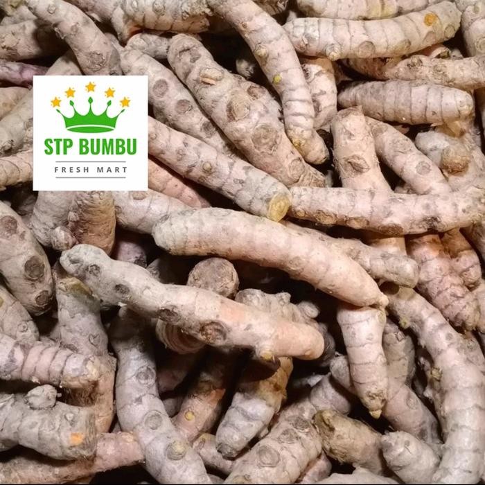 

Terlaris Kunyit Segar Besar