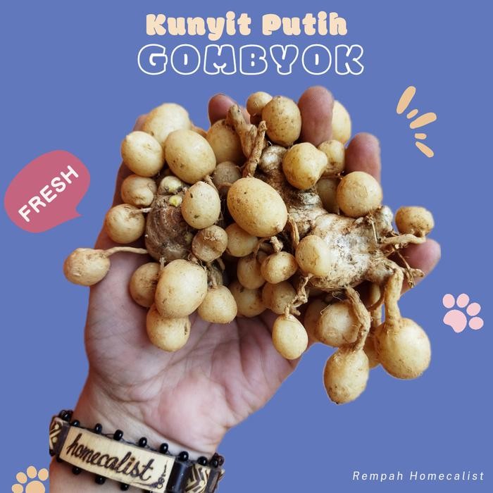

Terlaris Kunyit Putih Segar 1Kg Kunyit Gombyok Rempah