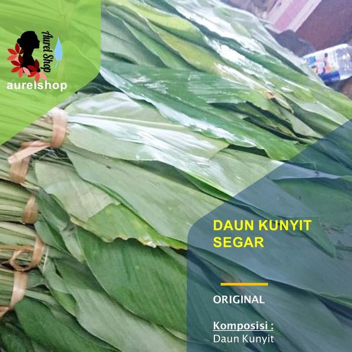 

Terlaris Daun Kunyit Segar 1 Kg