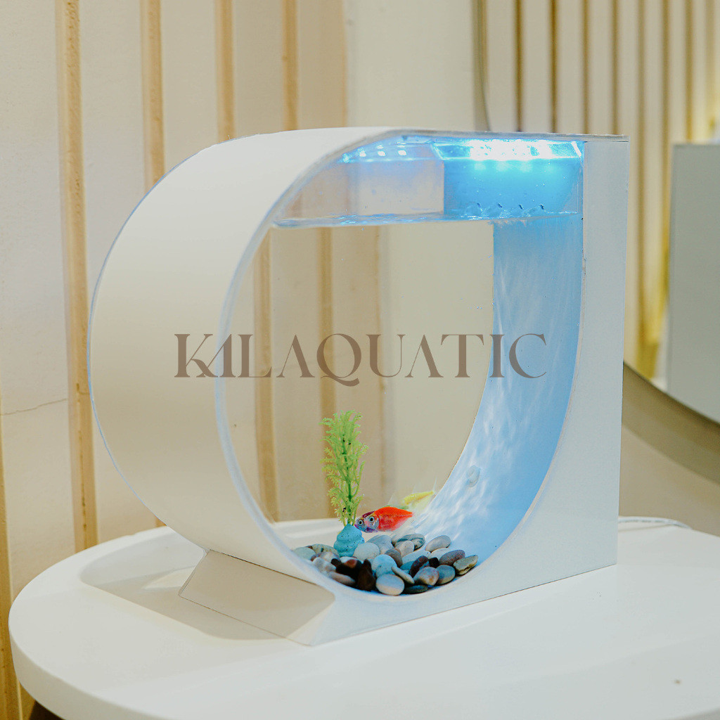 Aquarium mini bulat fullset akrilik minimalis hiasan meja kamar aesthetic akuarium bulat kalaquatic