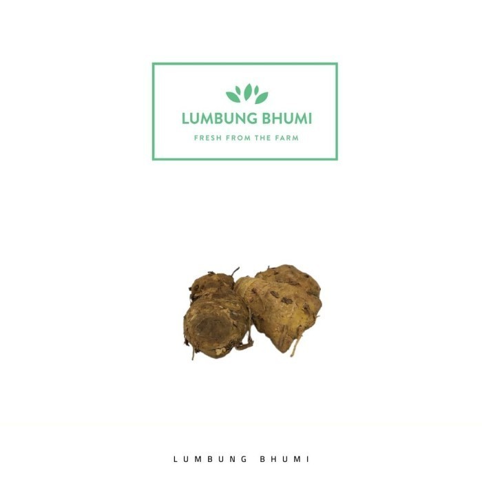 

Terlaris Biang Kunyit Sayur 500 Gr - Lumbung Bhumi