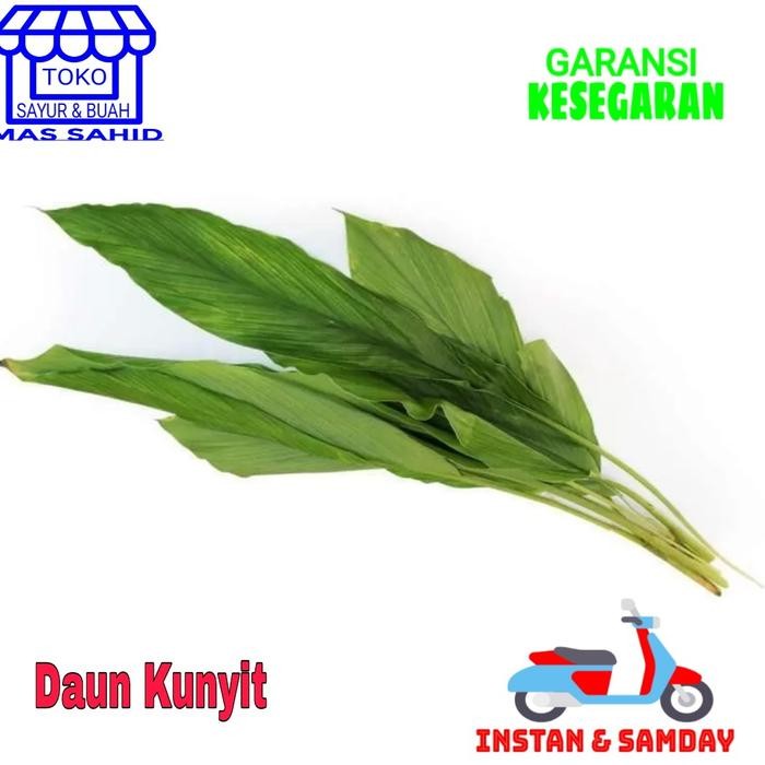 

Terlaris Daun Kunyit Segar 50 Gram