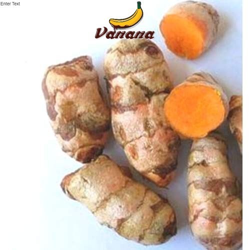 

Terlaris Biang Kunyit 250Gr