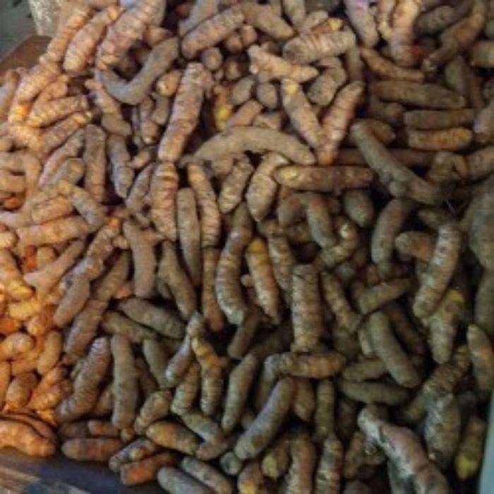 

Terlaris Kunyit Panjang Batu Segar Berat 250Grm