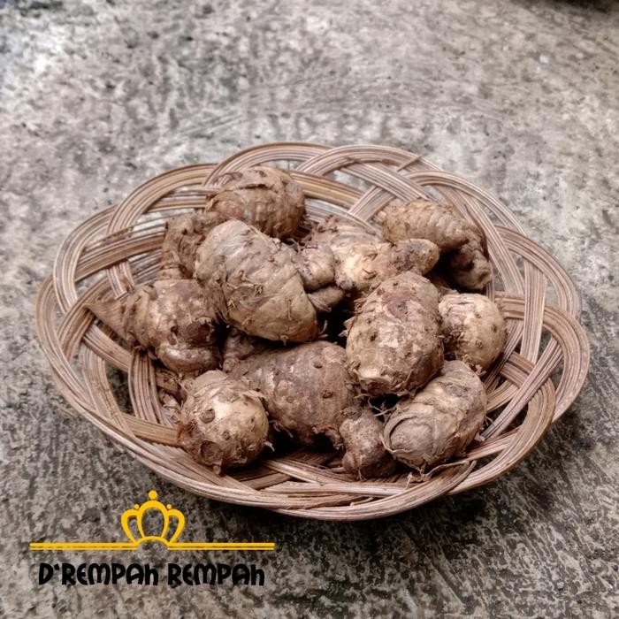 

Terlaris Biang Kunyit 1/2 Kg