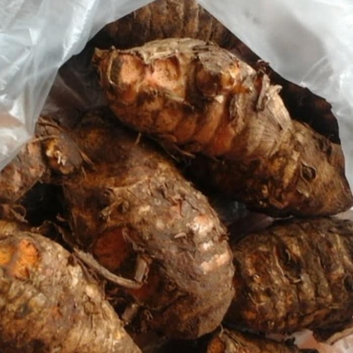 

Terlaris Biang Kunyit