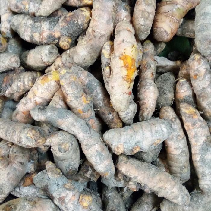 

Terlaris Kunyit Batang / 100 Gr