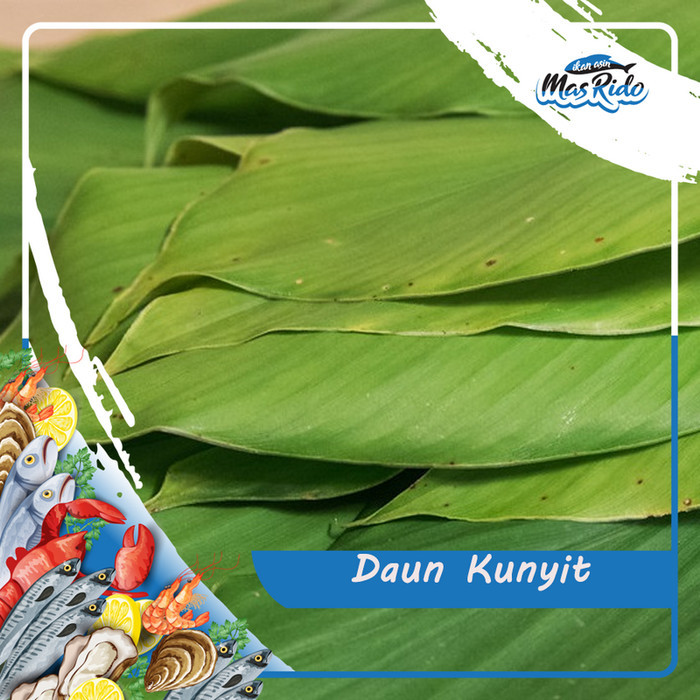 

Terlaris Daun Kunyit Kunir Segar Bersih 1 Ikat Kwalitas Premium Harga Murah