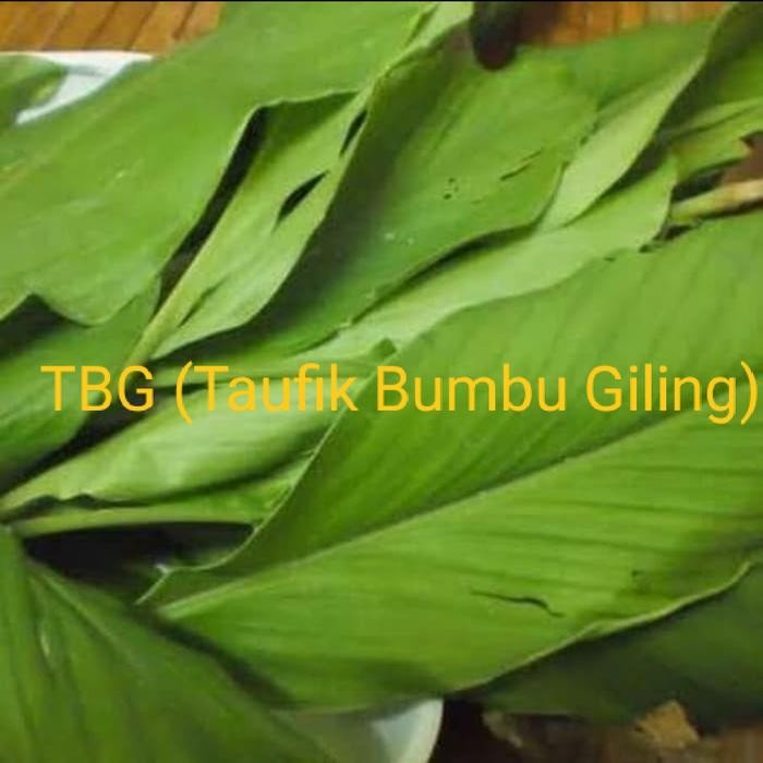 

Terlaris Daun Kunyit 250Gr