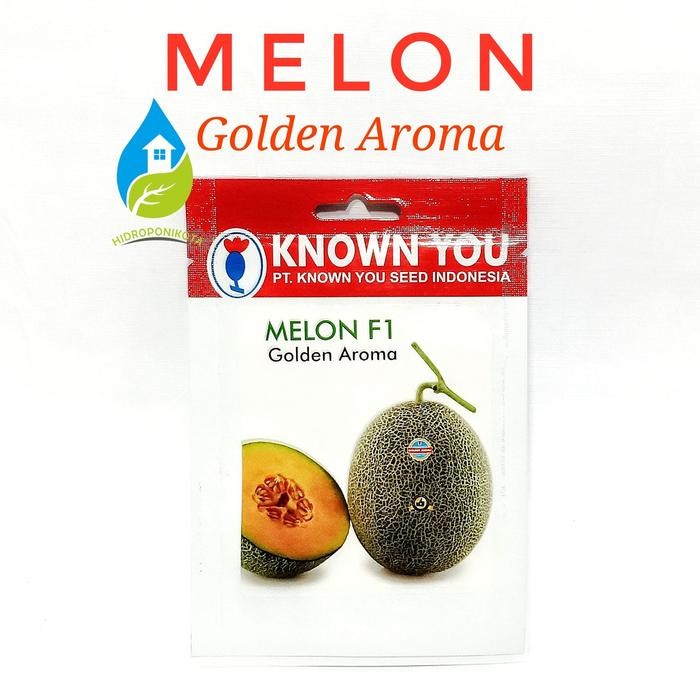 TERMURAH melon golden aroma