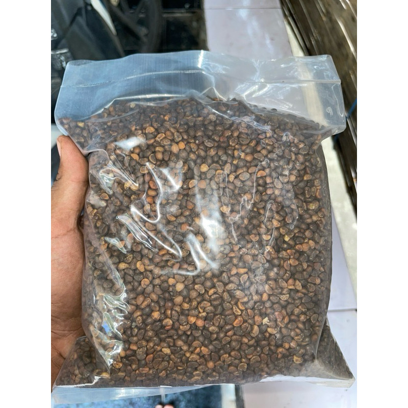 Bibit Kangkung Daun Sempit/ Benih Kangkung Daun Sempit 1kg, Jaminan Tumbuh