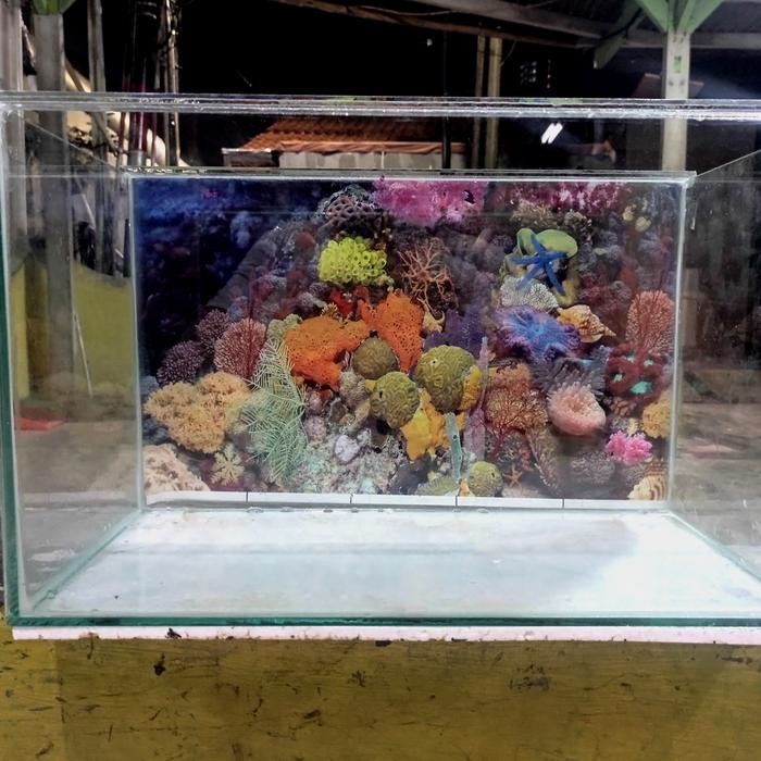 Aquarium 50x25x30