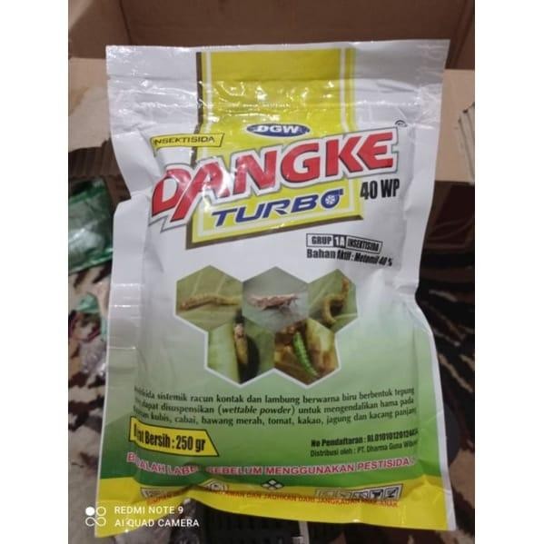 Dangke 40wp 250gr