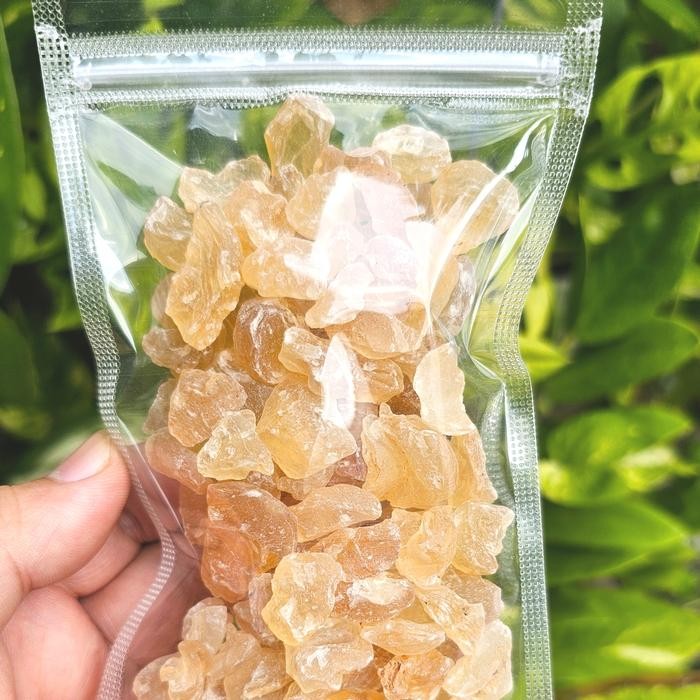 

TERMURAHH!! Snow Bird Nest 100gr / 500gr - XueYan - GumTragacanth
