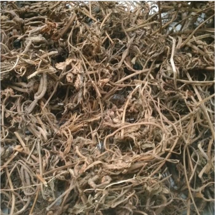 

TERMURAHH!! Akar Purwoceng Asli 100gr - Akar Purwaceng