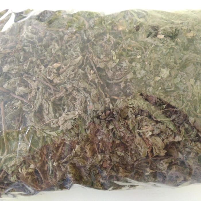 

TERMURAHH!! Daun Jombang Kering 500gr - Kesehatan Hati dan Obat Alami Batu Ginjal