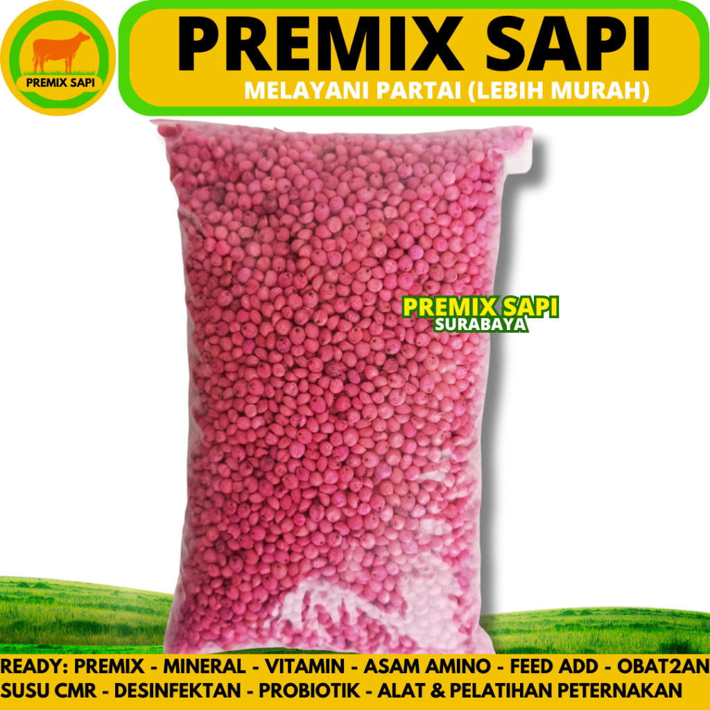 BENIH SORGUM BIOGUMA TIPE 2 - Biji sorghum bioguma - Sumber hijauan pakan ternak tinggi energy -