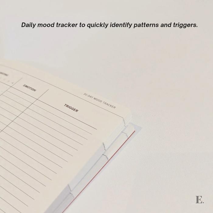 

The Mood Manager A Workbook On Making Bad Days Better Mood Journal By Envision Planner #Gratisongkir