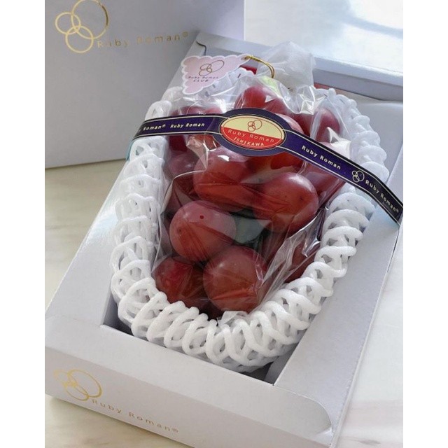 Pinan Shop Bibit Anggur Import Ruby Roman Garansi Valid