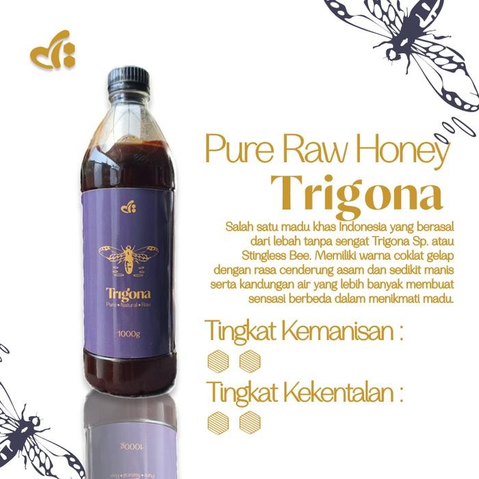 

Raw Honey by dBee - TRIGONA 1000gr - Madu Mentah 100% Murni Klanceng