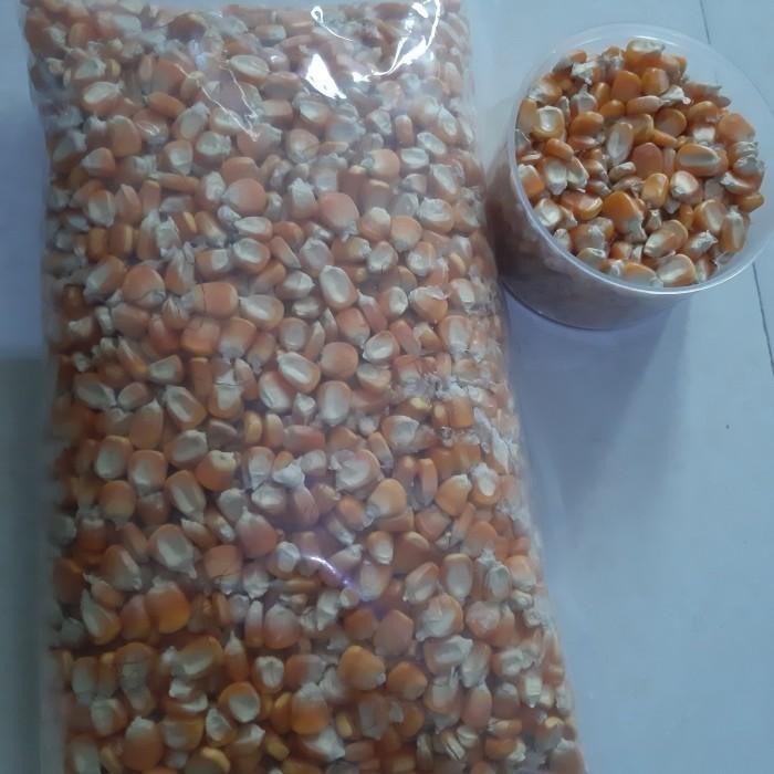 

JAGUNG HIBRIDA PAKAN TERNAK atau jagung pipil kering 25kg