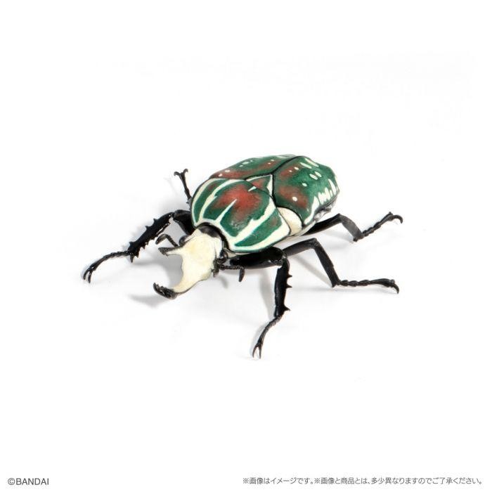 SALE GASHAPON IKIMONO BEETLE KUMBANG TANDUK HERCULES 2025 SERI NO.8 WARNA HITAM READY