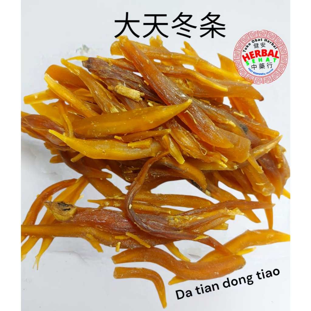 

Da Tian Dong Tiao Tian Men Dong -Radix Asparagi 100-300-600 gram PREMIUM
