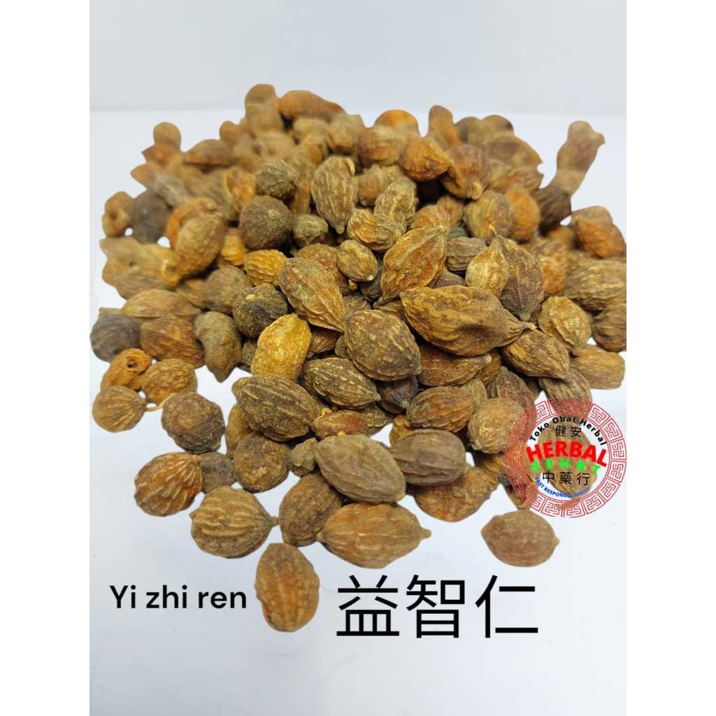 

Yi Zhi Ren Black Cardamon Alpinia Oxyphilla Fruit 500-600-1kg PREMIUM