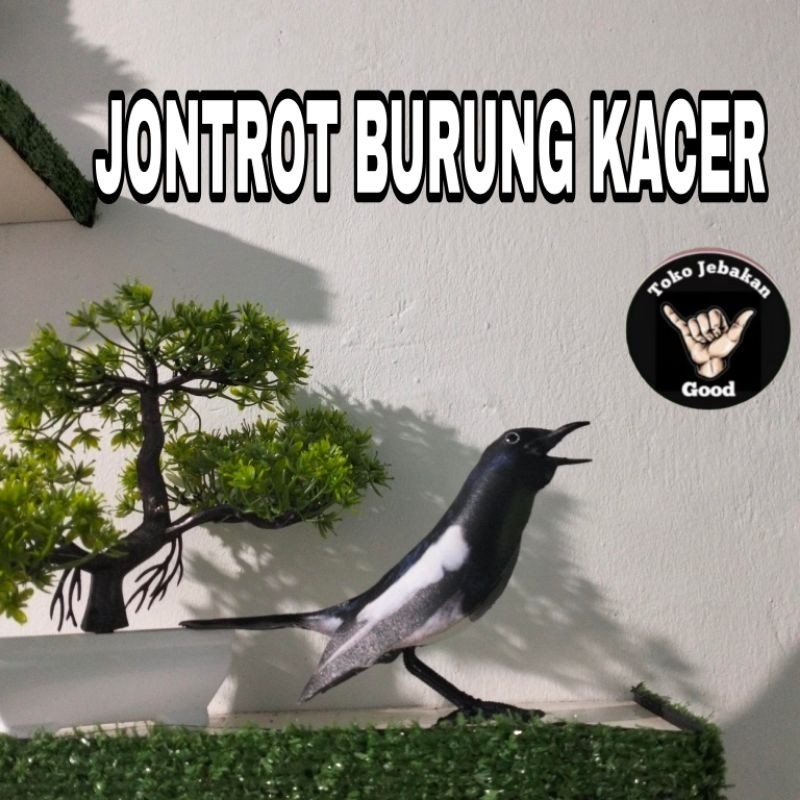 PATUNG JONTROT BURUNG KACER