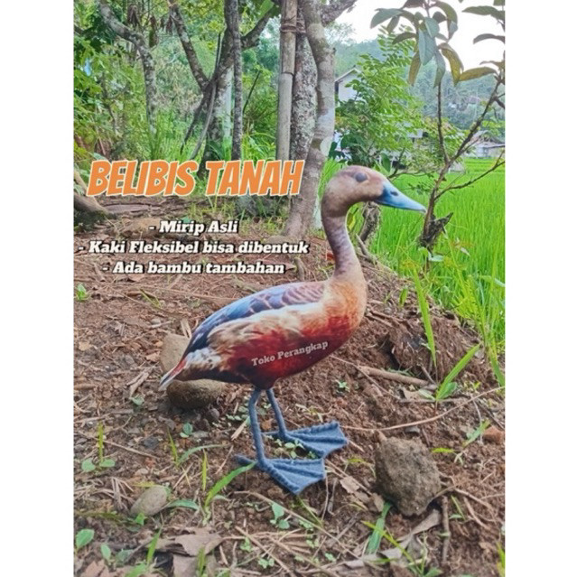 Patung Jontrot Belibis KEMBANG