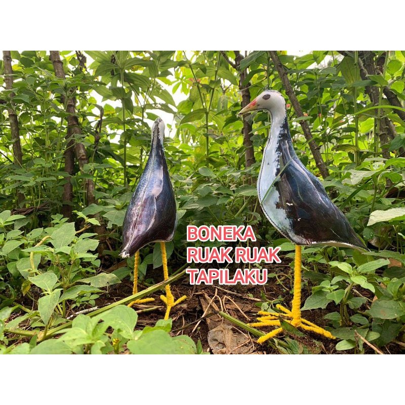 JONTROT BURUNG RUAK RUAK (new1) DECOY