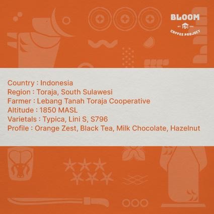 

Biji Kopi Toraja - Astro Pango-Pango - Semi Wash - Coffee Grean Bean Best Seller