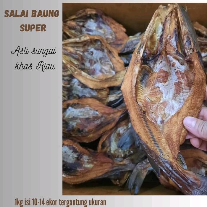 

Salai Baung Sungai Super Kering Khas Riau Best Seller