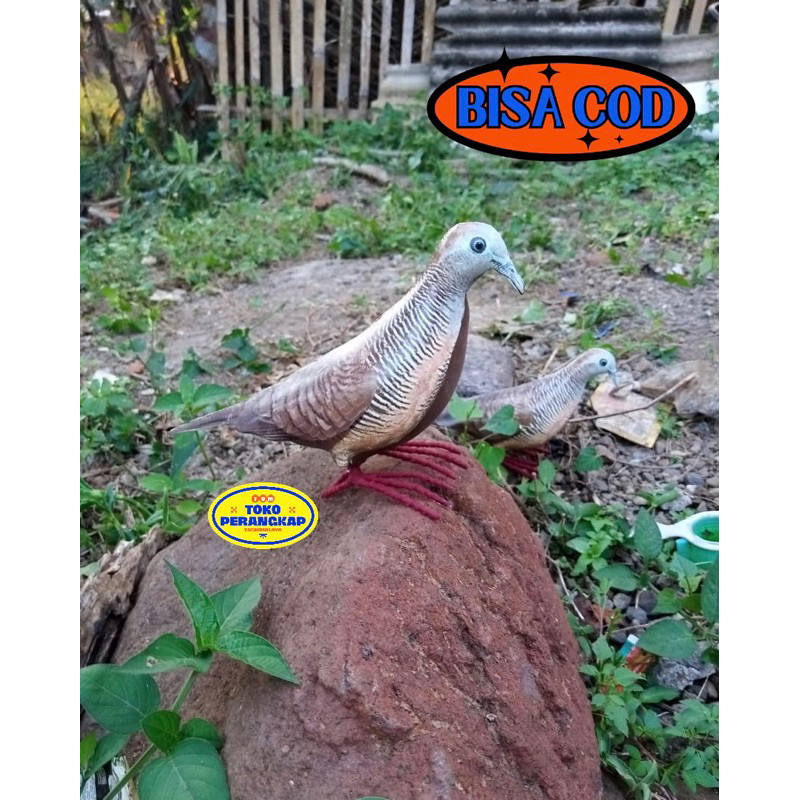 ( Toko Perangkap ) Patung Jontrot pemikat burung Perkutut - Alat Pikat Burung Perkutut