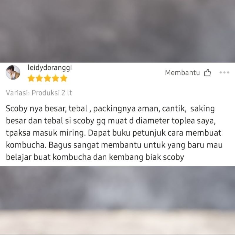 

WHYN!! STARTER KOMBUCHA - Premium - Usia Tua - Air Aja - Gula Rendah