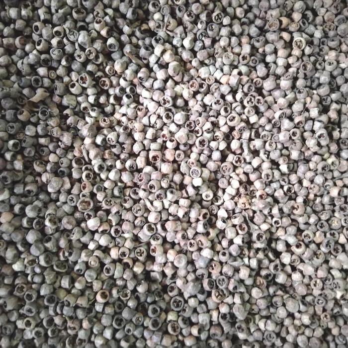 

TERMURAHH!! Merica Bolong 1kg / Jamu Herbal Lada Bolong