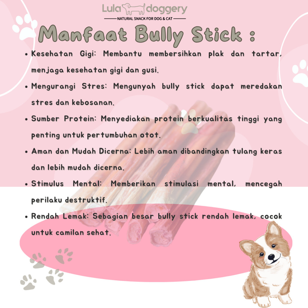 

Olivoliv Snack Bully Stick - Snack Anjing Gigitan Dental Chew - Lula Doggery